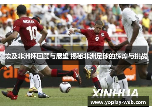 埃及非洲杯回顾与展望 揭秘非洲足球的辉煌与挑战