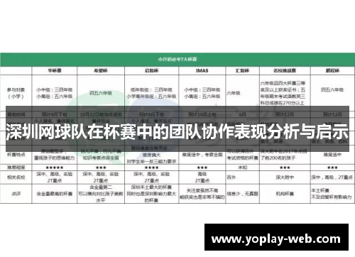 深圳网球队在杯赛中的团队协作表现分析与启示