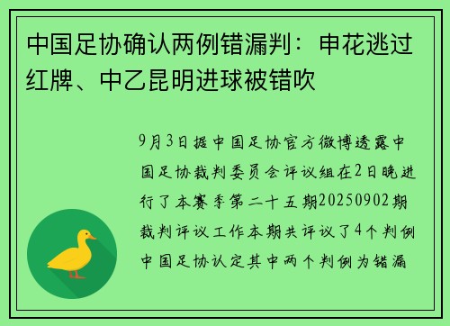 中国足协确认两例错漏判：申花逃过红牌、中乙昆明进球被错吹